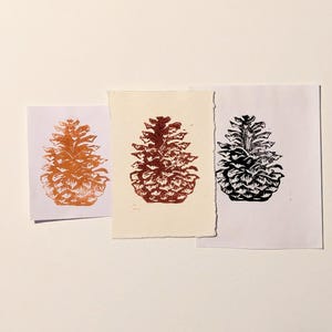 松ぼっくり - 紙に手描きのインク