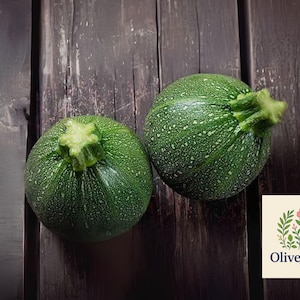 20 Round Zucchini Squash Seeds, Heirloom Non-GMO Summer Veggie, Free Shipping USA