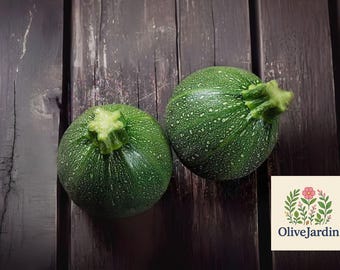 Round Zucchini Seeds: Heirloom Non-GMO Summer Squash