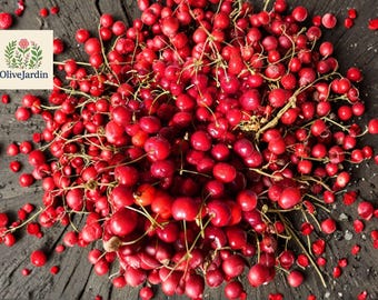 30 Sweet Cherry Tree Seeds – Red Fruit Variety – Heirloom Non-GMO Stone Fruit – Fresh Orchard
