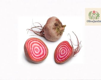 May include: A whole beet and two halves, showcasing the vibrant red and white concentric rings. The beets have a brownish-purple exterior and thin, wiry roots. The image is set against a clean white background, highlighting the natural colors and textures of the fresh produce.