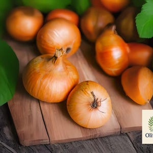 250 Yellow Sweet Spanish Onion Seeds | Heirloom | Non-GMO | Mild Flavor | Garden Vegetable | Free Shipping USA