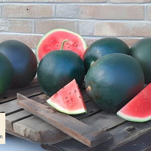 Black Diamond Watermelon Seeds: Heirloom Non-GMO, Large Juicy Fruit