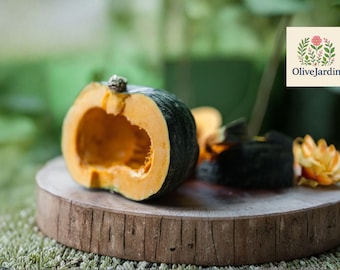 10 Kabocha Squash Seeds – Japanese Pumpkin – Chestnut Type – Sweet Nutty Taste Variety – Heirloom Vegetable