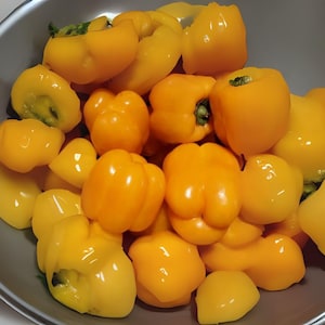 100 Golden Cal Wonder Bell Pepper Seeds | Sweet Yellow Heirloom | Non-GMO | Productive & Crisp | Vegetable Garden | Free Shipping