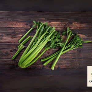 2000 Tall Utah Celery Seeds: Heirloom Non-GMO Vegetable Garden Favorite