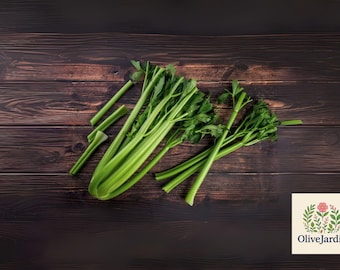 2000 Tall Utah Celery Seeds: Heirloom Non-GMO Vegetable Garden Favorite