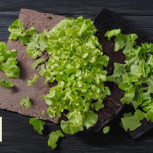 100 Salad Bowl Lettuce Seeds – Heirloom Loose-Leaf Variety, Fast Growing, Tender Leaves, NON-GMO Garden Seeds, Easy to Grow
