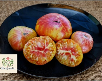 125 Pineapple Tomato Seeds – Heirloom Bi-Color Beefsteak – Large Garden Tomato – Non-GMO