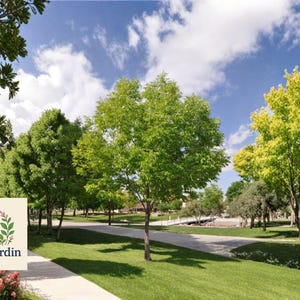 May include: A sunny outdoor scene featuring lush green trees, a grassy lawn, and a paved walkway. The sky is blue with fluffy white clouds. A logo with floral elements and the text "OliveJardin" is in the lower left corner.