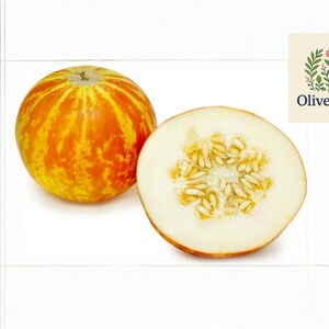 May include: A whole and a halved orange and yellow striped melon, showcasing the creamy white flesh and seeds. The image is set against a white tiled background, with the OliveJardin logo in the upper right corner.