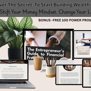PLR Entrepreneur’s Guide to Financial Freedom eBook | Build Wealth & Passive Income |Small Business Finance Guide |Digital Download|Free