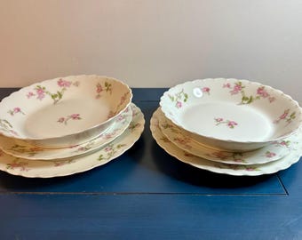 Haviland Limoges 93-piece Pink & Blue Flowered Porcelain
