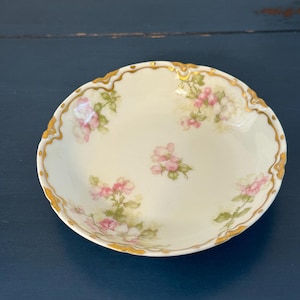 Antique Limoges Haviland & Co. Floral Berry Bowl with Gold Trim – Hand Decorated France