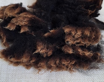 Raw fleece, Zwartbles, 100% biological wool, no chemicals or toxines, wool for felting, spinning, sustainable wool, animal friendly wool