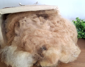 Raw fleece, Valais blacknose, 100% biological wool, no chemicals or toxines, wool for felting, spinning, sustainable wool, animal friendly