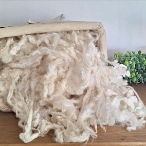 Flevolander Sheep Wool, Biological, Needle Felting, Spinning Craft