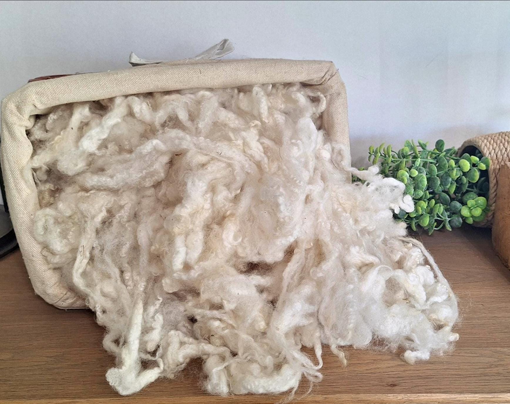 Raw sheep wool - Etsy 日本