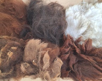 Raw Alpaca Fleece Box, Natural Colors, Wool for Felting, Spinning (1/2kg)
