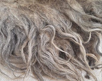 Raw fleece, Heidschnucke, 100% biological wool, no chemicals or toxines, wool for felting, spinning, sustainable wool, animal friendly wool
