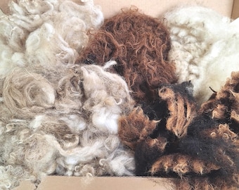 Raw fleece try out box, 500 grams, organic, no chemicals or toxines, wool for felting, spinning, sustainable wool, animal friendly wool