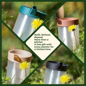 Mini Watering Can: Eco-Friendly Houseplant Planter Tool