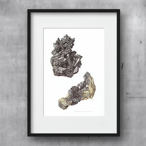 1969 Stephanit Argentit Mineraler - Original Vintage Tryck Av Caspari - Vetenskaplig Naturhistorisk Geologisk Studie - 7,5 x 10,5 tum