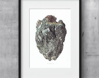 Może przedstawiać: Oprawiony wydruk szczegółowej ilustracji okazu mineralnego. Grafika przedstawia złożony układ struktur krystalicznych w odcieniach szarości, zieleni i brązu, na białym tle. Wydruk jest oprawiony w czarną ramę.