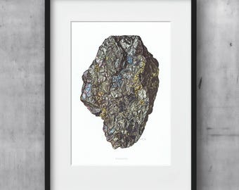 May include: A framed print featuring a detailed illustration of a mineral specimen. The mineral has a dark, textured surface with iridescent patches of blue, gold, and silver. The print is set against a white background within a black frame.