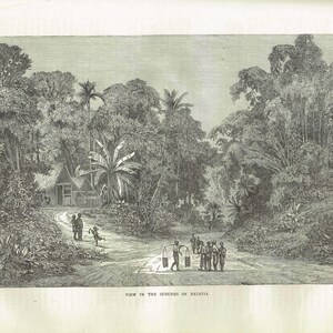 1871 Batavia Suburbs Jakarta - Antique Engraving - Illustrated Travels Indonesia Colonial Landscape Java - 11.5 x 8 in