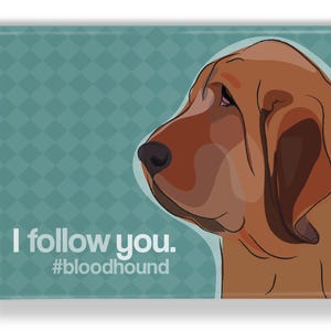 Bloodhound Dog Magnet, Bloodhound Gifts, Dog Fridge Magnets, Bloodhounds, Dog Magnets, Fridge Magnet, I Follow You
