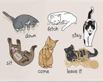 Cat Magnet, Cat Gifts, Cat Fridge Magnets, Funny Cats, Cat Magnets, Fridge Magnet, Cat Obedience, Sit Come Stay - As If!