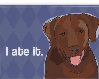 Labrador Retriever Magnet - Chocolate Lab Admits &quot;I Ate It&quot; - Funny Chocolate Lab Gift for Labrador Owners with Dogs That Eat EVERYTHING