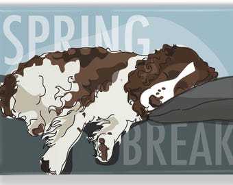 Springer Spaniel Magnet – Funny Dog Fridge Magnets – Brown and White Spaniels – Spring Break