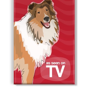 Collie Magnet, Funny Dog Fridge Magnets, Rough Collies, Sable Collie Gifts
