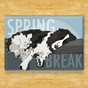 Springer Spaniel Magnet - Spring Break - Black and White Springer Spaniel Gifts Funny Dog Fridge Magnets