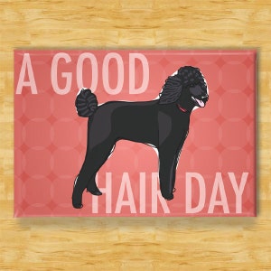 Poodle Magnet - A Good Hair Day - Standard Poodle Gifts Funny Dog Fridge Magnets