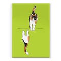 Clean Dirty Dishwasher Magnet with Kitty Cats - Funny Cat Dishwasher Magnet, Calico Cat, Black and White Cat, Orange Tabby and more
