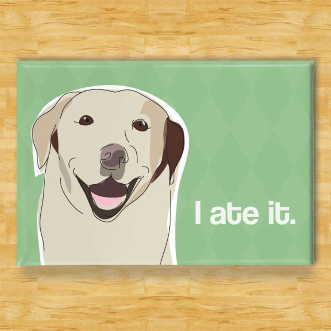 Labrador I Ate It Yellow Lab Labrador Retriever Gifts Funny Dog