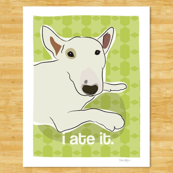 bull terrier stuff