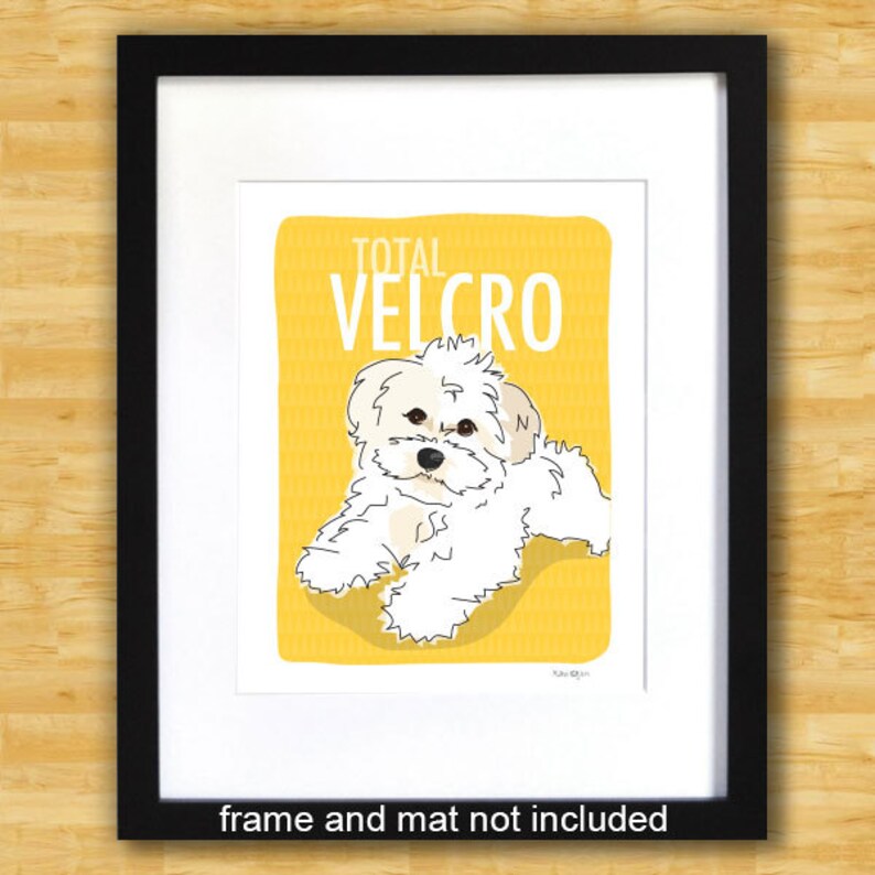 Havanese Art Print Total Velcro White Havanese Gifts Dog Etsy