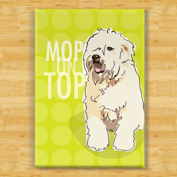 Wheaten top terrier gifts