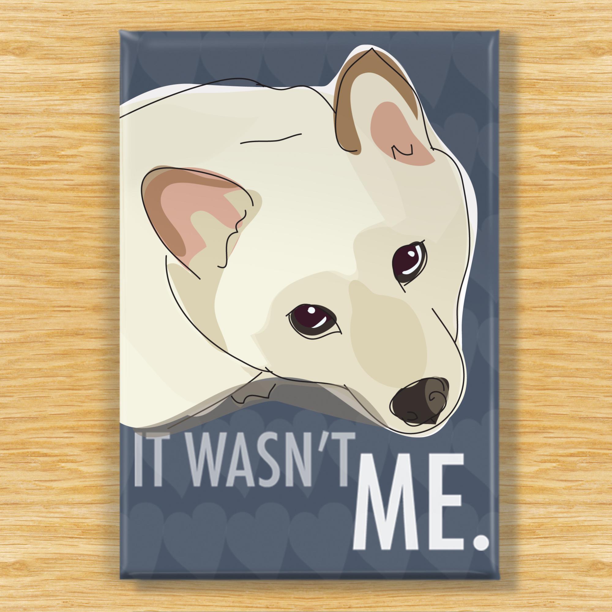 Imán de perro Shiba Inu, regalos de Shiba, imanes de perro para la nevera, Shiba Inu color crema, imanes de perro, imán para la nevera, no fui yo