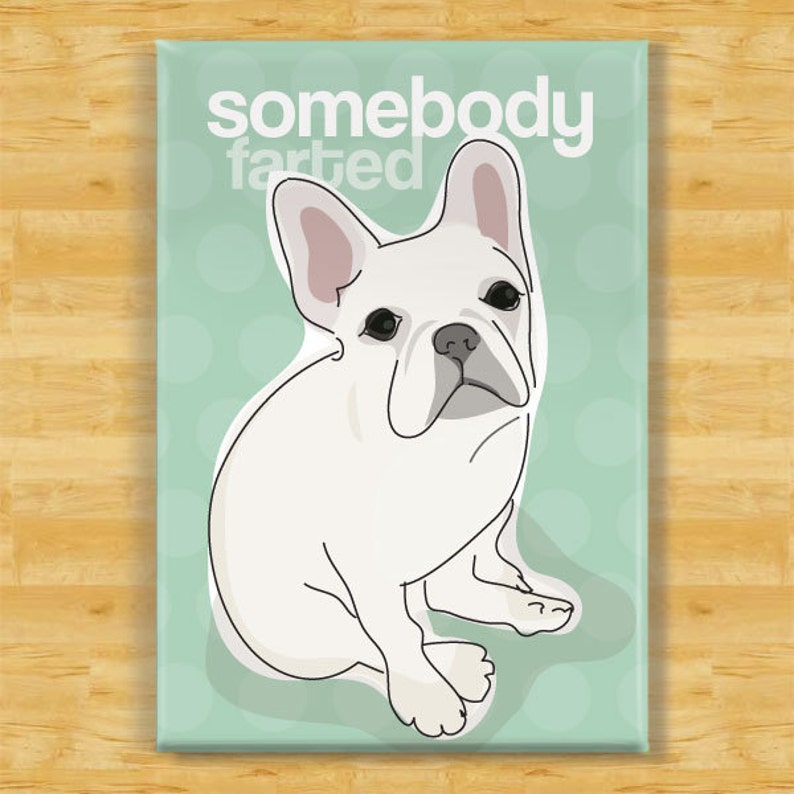 ENGLISH BULLDOG Can/'t Have Just One FRIDGE MAGNET Dog
