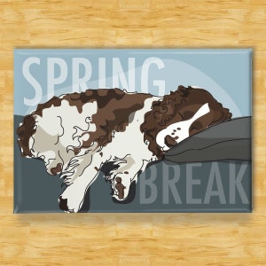 Springer Spaniel Magnet - Spring Break - Springer Spaniel Gifts Funny Dog Fridge Magnets