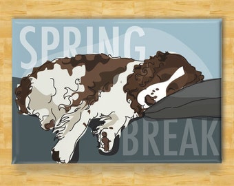 Springer Spaniel Magnet - Spring Break - Springer Spaniel Gifts Funny Dog Fridge Magnets