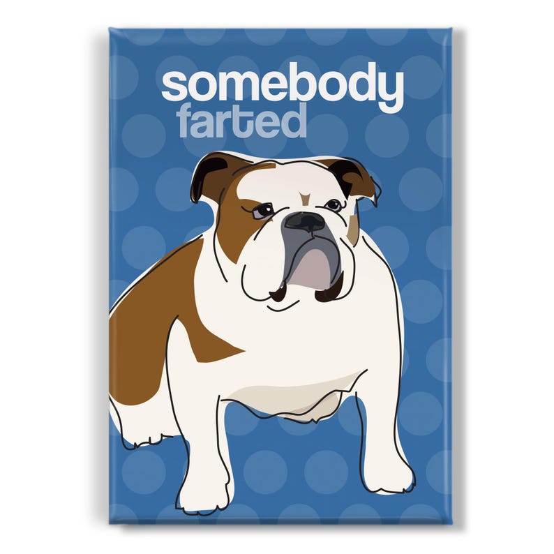 Bulldog Magnet – Funny Fridge Magnets – English Bulldogs – Somebody Farted