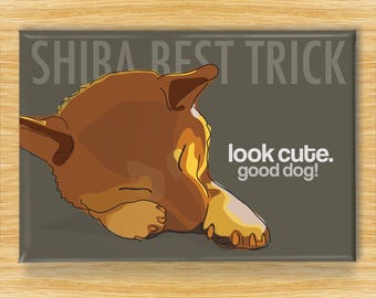 Shiba Inu Magnet – Funny Fridge Magnets – Shibas vs Dog Obedience