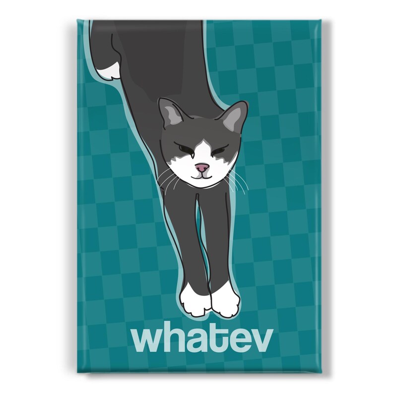 Funny Cat Magnet, Fridge Magnets with Cats, Gray Kitty Says Whatev image 3