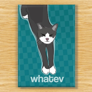 Funny Cat Magnet, Fridge Magnets with Cats, Gray Kitty Says Whatev image 1